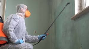 Mold Remediation for Vacation Homes in Ballplay, AL